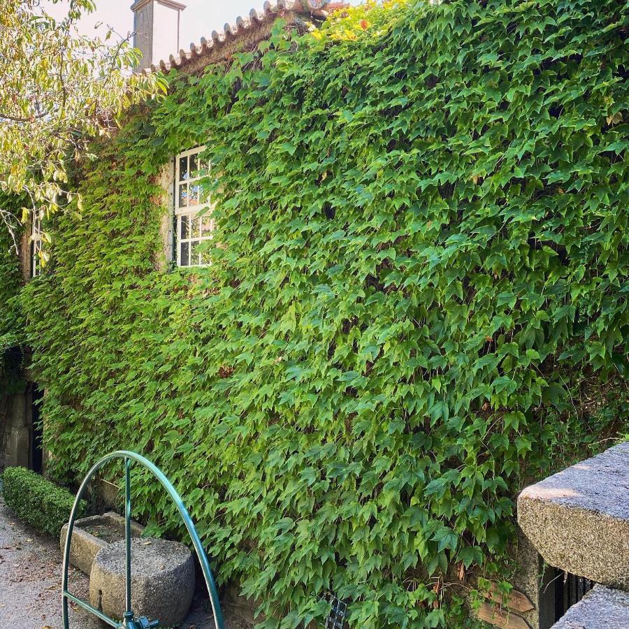 סברוסה Casa Dos Barros Winery Lodge By Vintage Theory מראה חיצוני תמונה
