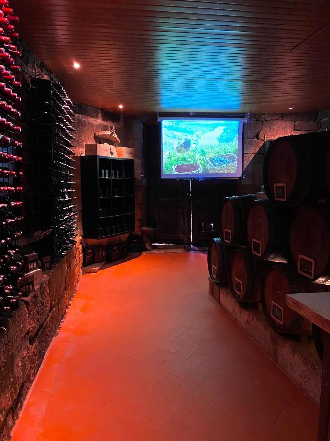 סברוסה Casa Dos Barros Winery Lodge By Vintage Theory מראה חיצוני תמונה