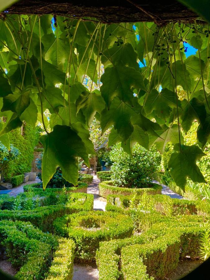 סברוסה Casa Dos Barros Winery Lodge By Vintage Theory מראה חיצוני תמונה
