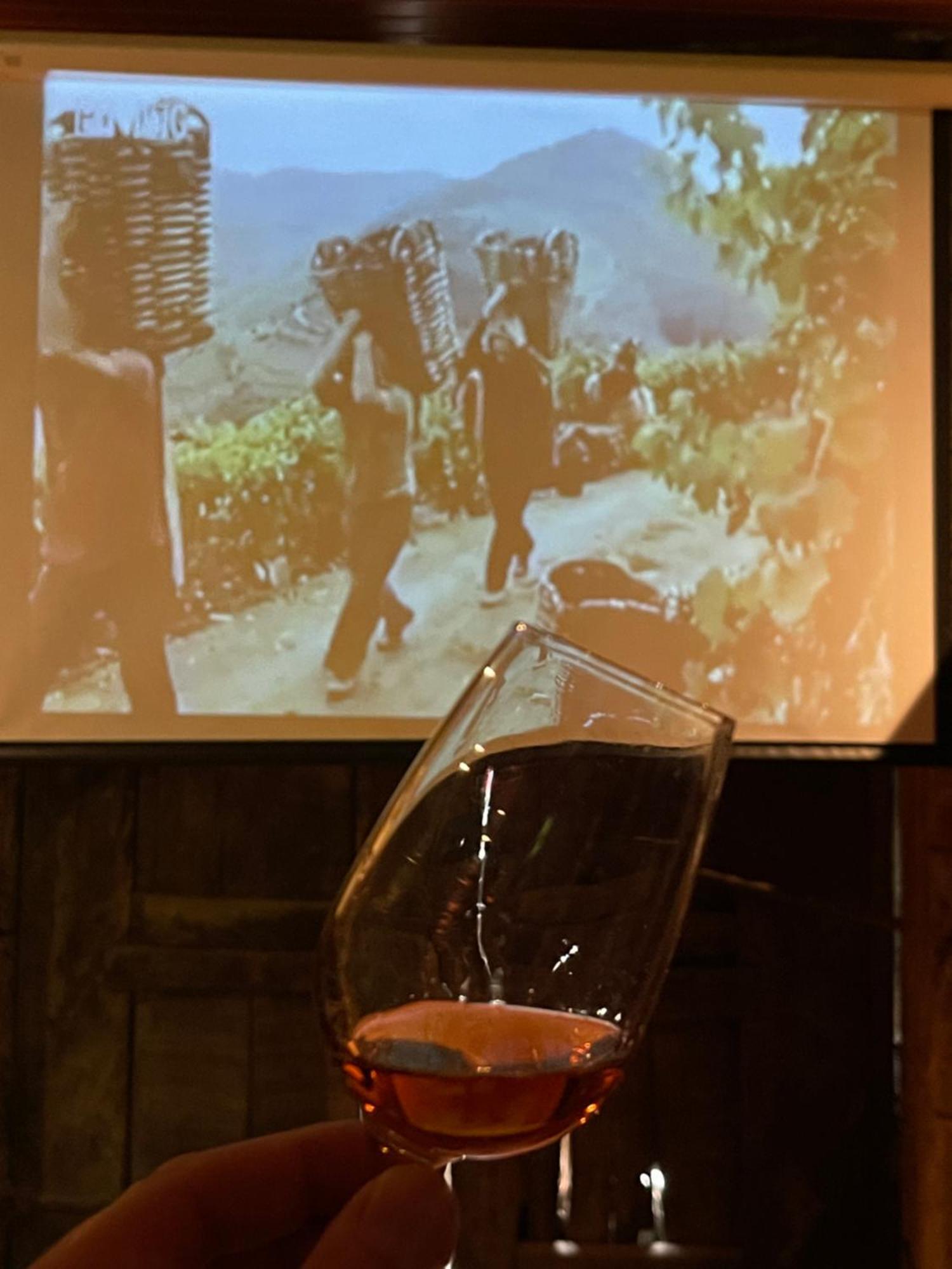 סברוסה Casa Dos Barros Winery Lodge By Vintage Theory מראה חיצוני תמונה