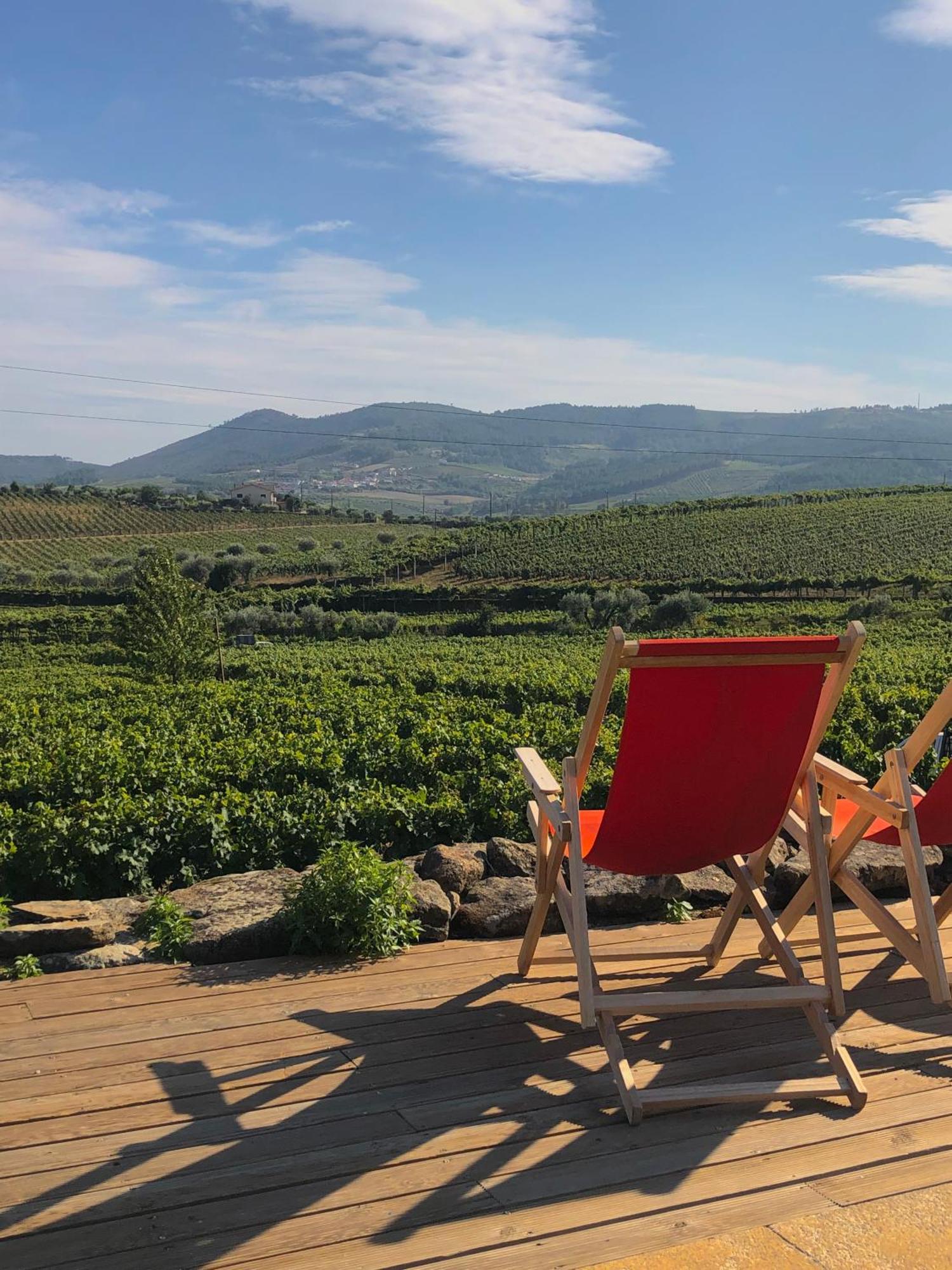 סברוסה Casa Dos Barros Winery Lodge By Vintage Theory מראה חיצוני תמונה
